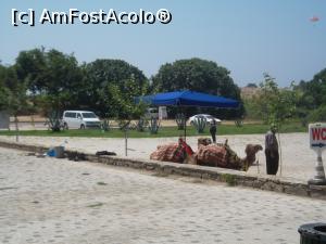 [P17] camile pt poze » foto by d.croitoru
 - 
<span class="allrVoted glyphicon glyphicon-heart hidden" id="av1088735"></span>
<a class="m-l-10 hidden" id="sv1088735" onclick="voting_Foto_DelVot(,1088735,10840)" role="button">șterge vot <span class="glyphicon glyphicon-remove"></span></a>
<a id="v91088735" class=" c-red"  onclick="voting_Foto_SetVot(1088735)" role="button"><span class="glyphicon glyphicon-heart-empty"></span> <b>LIKE</b> = Votează poza</a> <img class="hidden"  id="f1088735W9" src="/imagini/loader.gif" border="0" /><span class="AjErrMes hidden" id="e1088735ErM"></span>