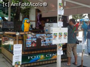 [P18] manavgat papagali pt poze » foto by d.croitoru
 - 
<span class="allrVoted glyphicon glyphicon-heart hidden" id="av1088736"></span>
<a class="m-l-10 hidden" id="sv1088736" onclick="voting_Foto_DelVot(,1088736,10840)" role="button">șterge vot <span class="glyphicon glyphicon-remove"></span></a>
<a id="v91088736" class=" c-red"  onclick="voting_Foto_SetVot(1088736)" role="button"><span class="glyphicon glyphicon-heart-empty"></span> <b>LIKE</b> = Votează poza</a> <img class="hidden"  id="f1088736W9" src="/imagini/loader.gif" border="0" /><span class="AjErrMes hidden" id="e1088736ErM"></span>