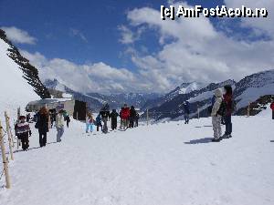 [P57] Jungfraujoch - Bucuria zapezii in luna lui cuptor.  » foto by iulianic
 - 
<span class="allrVoted glyphicon glyphicon-heart hidden" id="av370089"></span>
<a class="m-l-10 hidden" id="sv370089" onclick="voting_Foto_DelVot(,370089,10927)" role="button">șterge vot <span class="glyphicon glyphicon-remove"></span></a>
<a id="v9370089" class=" c-red"  onclick="voting_Foto_SetVot(370089)" role="button"><span class="glyphicon glyphicon-heart-empty"></span> <b>LIKE</b> = Votează poza</a> <img class="hidden"  id="f370089W9" src="/imagini/loader.gif" border="0" /><span class="AjErrMes hidden" id="e370089ErM"></span>