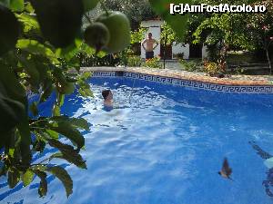 [P18] Piscina hotelului  si o pasare..in zbor! » foto by Silvana5
 - 
<span class="allrVoted glyphicon glyphicon-heart hidden" id="av364649"></span>
<a class="m-l-10 hidden" id="sv364649" onclick="voting_Foto_DelVot(,364649,10932)" role="button">șterge vot <span class="glyphicon glyphicon-remove"></span></a>
<a id="v9364649" class=" c-red"  onclick="voting_Foto_SetVot(364649)" role="button"><span class="glyphicon glyphicon-heart-empty"></span> <b>LIKE</b> = Votează poza</a> <img class="hidden"  id="f364649W9" src="/imagini/loader.gif" border="0" /><span class="AjErrMes hidden" id="e364649ErM"></span>