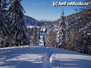 P07 [JAN-2012] Dupa vf. Grecu iesim in zona La Cleste unde intalnim traseul triunghi albastru ce vine de la Gura Diham si merge la cabana Diham