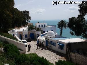 [P135] Sidi Bou Said, in culorile traditionale alb-albastru » foto by JaquelineTeri
 - 
<span class="allrVoted glyphicon glyphicon-heart hidden" id="av549393"></span>
<a class="m-l-10 hidden" id="sv549393" onclick="voting_Foto_DelVot(,549393,11011)" role="button">șterge vot <span class="glyphicon glyphicon-remove"></span></a>
<a id="v9549393" class=" c-red"  onclick="voting_Foto_SetVot(549393)" role="button"><span class="glyphicon glyphicon-heart-empty"></span> <b>LIKE</b> = Votează poza</a> <img class="hidden"  id="f549393W9" src="/imagini/loader.gif" border="0" /><span class="AjErrMes hidden" id="e549393ErM"></span>