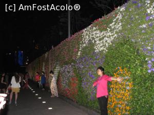 [P07] Shanghai - Bund-ul si peretele de flori la care se fotografia toata lumea » foto by mishu
 - 
<span class="allrVoted glyphicon glyphicon-heart hidden" id="av706599"></span>
<a class="m-l-10 hidden" id="sv706599" onclick="voting_Foto_DelVot(,706599,11037)" role="button">șterge vot <span class="glyphicon glyphicon-remove"></span></a>
<a id="v9706599" class=" c-red"  onclick="voting_Foto_SetVot(706599)" role="button"><span class="glyphicon glyphicon-heart-empty"></span> <b>LIKE</b> = Votează poza</a> <img class="hidden"  id="f706599W9" src="/imagini/loader.gif" border="0" /><span class="AjErrMes hidden" id="e706599ErM"></span>