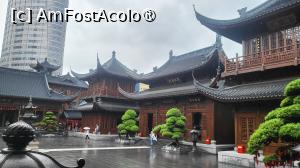 [P10]  -- <small>// FĂRĂ DESCRIERE</small> » foto by geani anto
 - 
<span class="allrVoted glyphicon glyphicon-heart hidden" id="av1507562"></span>
<a class="m-l-10 hidden" id="sv1507562" onclick="voting_Foto_DelVot(,1507562,11037)" role="button">șterge vot <span class="glyphicon glyphicon-remove"></span></a>
<a id="v91507562" class=" c-red"  onclick="voting_Foto_SetVot(1507562)" role="button"><span class="glyphicon glyphicon-heart-empty"></span> <b>LIKE</b> = Votează poza</a> <img class="hidden"  id="f1507562W9" src="/imagini/loader.gif" border="0" /><span class="AjErrMes hidden" id="e1507562ErM"></span>