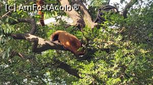 [P26]  -- <small>// FĂRĂ DESCRIERE</small> » foto by geani anto
 - 
<span class="allrVoted glyphicon glyphicon-heart hidden" id="av1509539"></span>
<a class="m-l-10 hidden" id="sv1509539" onclick="voting_Foto_DelVot(,1509539,11037)" role="button">șterge vot <span class="glyphicon glyphicon-remove"></span></a>
<a id="v91509539" class=" c-red"  onclick="voting_Foto_SetVot(1509539)" role="button"><span class="glyphicon glyphicon-heart-empty"></span> <b>LIKE</b> = Votează poza</a> <img class="hidden"  id="f1509539W9" src="/imagini/loader.gif" border="0" /><span class="AjErrMes hidden" id="e1509539ErM"></span>