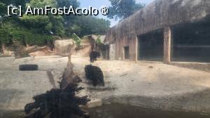 [P35]  -- <small>// FĂRĂ DESCRIERE</small> » foto by geani anto
 - 
<span class="allrVoted glyphicon glyphicon-heart hidden" id="av1509548"></span>
<a class="m-l-10 hidden" id="sv1509548" onclick="voting_Foto_DelVot(,1509548,11037)" role="button">șterge vot <span class="glyphicon glyphicon-remove"></span></a>
<a id="v91509548" class=" c-red"  onclick="voting_Foto_SetVot(1509548)" role="button"><span class="glyphicon glyphicon-heart-empty"></span> <b>LIKE</b> = Votează poza</a> <img class="hidden"  id="f1509548W9" src="/imagini/loader.gif" border="0" /><span class="AjErrMes hidden" id="e1509548ErM"></span>