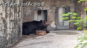 [P36]  -- <small>// FĂRĂ DESCRIERE</small> » foto by geani anto
 - 
<span class="allrVoted glyphicon glyphicon-heart hidden" id="av1509549"></span>
<a class="m-l-10 hidden" id="sv1509549" onclick="voting_Foto_DelVot(,1509549,11037)" role="button">șterge vot <span class="glyphicon glyphicon-remove"></span></a>
<a id="v91509549" class=" c-red"  onclick="voting_Foto_SetVot(1509549)" role="button"><span class="glyphicon glyphicon-heart-empty"></span> <b>LIKE</b> = Votează poza</a> <img class="hidden"  id="f1509549W9" src="/imagini/loader.gif" border="0" /><span class="AjErrMes hidden" id="e1509549ErM"></span>