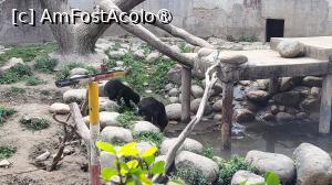 [P39]  -- <small>// FĂRĂ DESCRIERE</small> » foto by geani anto
 - 
<span class="allrVoted glyphicon glyphicon-heart hidden" id="av1509552"></span>
<a class="m-l-10 hidden" id="sv1509552" onclick="voting_Foto_DelVot(,1509552,11037)" role="button">șterge vot <span class="glyphicon glyphicon-remove"></span></a>
<a id="v91509552" class=" c-red"  onclick="voting_Foto_SetVot(1509552)" role="button"><span class="glyphicon glyphicon-heart-empty"></span> <b>LIKE</b> = Votează poza</a> <img class="hidden"  id="f1509552W9" src="/imagini/loader.gif" border="0" /><span class="AjErrMes hidden" id="e1509552ErM"></span>