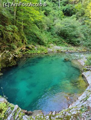 [P13] La pas prin Canionul Vintgar » foto by crismis
 - 
<span class="allrVoted glyphicon glyphicon-heart hidden" id="av1510692"></span>
<a class="m-l-10 hidden" id="sv1510692" onclick="voting_Foto_DelVot(,1510692,11040)" role="button">șterge vot <span class="glyphicon glyphicon-remove"></span></a>
<a id="v91510692" class=" c-red"  onclick="voting_Foto_SetVot(1510692)" role="button"><span class="glyphicon glyphicon-heart-empty"></span> <b>LIKE</b> = Votează poza</a> <img class="hidden"  id="f1510692W9" src="/imagini/loader.gif" border="0" /><span class="AjErrMes hidden" id="e1510692ErM"></span>