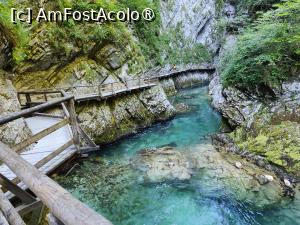 [P16] La pas prin Canionul Vintgar » foto by crismis
 - 
<span class="allrVoted glyphicon glyphicon-heart hidden" id="av1510695"></span>
<a class="m-l-10 hidden" id="sv1510695" onclick="voting_Foto_DelVot(,1510695,11040)" role="button">șterge vot <span class="glyphicon glyphicon-remove"></span></a>
<a id="v91510695" class=" c-red"  onclick="voting_Foto_SetVot(1510695)" role="button"><span class="glyphicon glyphicon-heart-empty"></span> <b>LIKE</b> = Votează poza</a> <img class="hidden"  id="f1510695W9" src="/imagini/loader.gif" border="0" /><span class="AjErrMes hidden" id="e1510695ErM"></span>