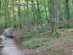 [P30] Pe traseul de întoarcere; prima porțiune prin pădure » foto by crismis
 - 
<span class="allrVoted glyphicon glyphicon-heart hidden" id="av1510709"></span>
<a class="m-l-10 hidden" id="sv1510709" onclick="voting_Foto_DelVot(,1510709,11040)" role="button">șterge vot <span class="glyphicon glyphicon-remove"></span></a>
<a id="v91510709" class=" c-red"  onclick="voting_Foto_SetVot(1510709)" role="button"><span class="glyphicon glyphicon-heart-empty"></span> <b>LIKE</b> = Votează poza</a> <img class="hidden"  id="f1510709W9" src="/imagini/loader.gif" border="0" /><span class="AjErrMes hidden" id="e1510709ErM"></span>