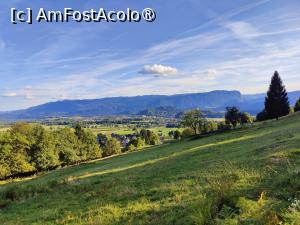 [P41] Pe traseul de întoarcere » foto by crismis
 - 
<span class="allrVoted glyphicon glyphicon-heart hidden" id="av1510719"></span>
<a class="m-l-10 hidden" id="sv1510719" onclick="voting_Foto_DelVot(,1510719,11040)" role="button">șterge vot <span class="glyphicon glyphicon-remove"></span></a>
<a id="v91510719" class=" c-red"  onclick="voting_Foto_SetVot(1510719)" role="button"><span class="glyphicon glyphicon-heart-empty"></span> <b>LIKE</b> = Votează poza</a> <img class="hidden"  id="f1510719W9" src="/imagini/loader.gif" border="0" /><span class="AjErrMes hidden" id="e1510719ErM"></span>