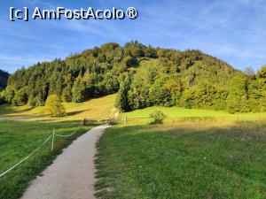 [P47] Pe traseul de întoarcere » foto by crismis
 - 
<span class="allrVoted glyphicon glyphicon-heart hidden" id="av1510723"></span>
<a class="m-l-10 hidden" id="sv1510723" onclick="voting_Foto_DelVot(,1510723,11040)" role="button">șterge vot <span class="glyphicon glyphicon-remove"></span></a>
<a id="v91510723" class=" c-red"  onclick="voting_Foto_SetVot(1510723)" role="button"><span class="glyphicon glyphicon-heart-empty"></span> <b>LIKE</b> = Votează poza</a> <img class="hidden"  id="f1510723W9" src="/imagini/loader.gif" border="0" /><span class="AjErrMes hidden" id="e1510723ErM"></span>