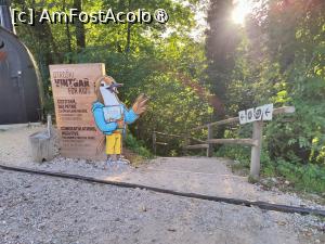 [P48] La capătul traseului de întoarcere! » foto by crismis
 - 
<span class="allrVoted glyphicon glyphicon-heart hidden" id="av1510724"></span>
<a class="m-l-10 hidden" id="sv1510724" onclick="voting_Foto_DelVot(,1510724,11040)" role="button">șterge vot <span class="glyphicon glyphicon-remove"></span></a>
<a id="v91510724" class=" c-red"  onclick="voting_Foto_SetVot(1510724)" role="button"><span class="glyphicon glyphicon-heart-empty"></span> <b>LIKE</b> = Votează poza</a> <img class="hidden"  id="f1510724W9" src="/imagini/loader.gif" border="0" /><span class="AjErrMes hidden" id="e1510724ErM"></span>