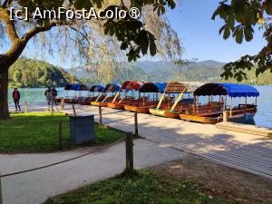 [P13] La plimbare în jurul lacului Bled » foto by crismis
 - 
<span class="allrVoted glyphicon glyphicon-heart hidden" id="av1513808"></span>
<a class="m-l-10 hidden" id="sv1513808" onclick="voting_Foto_DelVot(,1513808,11040)" role="button">șterge vot <span class="glyphicon glyphicon-remove"></span></a>
<a id="v91513808" class=" c-red"  onclick="voting_Foto_SetVot(1513808)" role="button"><span class="glyphicon glyphicon-heart-empty"></span> <b>LIKE</b> = Votează poza</a> <img class="hidden"  id="f1513808W9" src="/imagini/loader.gif" border="0" /><span class="AjErrMes hidden" id="e1513808ErM"></span>