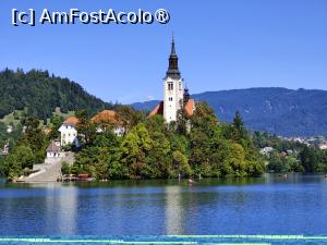 [P39] La plimbare în jurul lacului Bled » foto by crismis
 - 
<span class="allrVoted glyphicon glyphicon-heart hidden" id="av1513829"></span>
<a class="m-l-10 hidden" id="sv1513829" onclick="voting_Foto_DelVot(,1513829,11040)" role="button">șterge vot <span class="glyphicon glyphicon-remove"></span></a>
<a id="v91513829" class=" c-red"  onclick="voting_Foto_SetVot(1513829)" role="button"><span class="glyphicon glyphicon-heart-empty"></span> <b>LIKE</b> = Votează poza</a> <img class="hidden"  id="f1513829W9" src="/imagini/loader.gif" border="0" /><span class="AjErrMes hidden" id="e1513829ErM"></span>