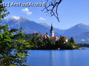 [P47] La plimbare în jurul lacului Bled » foto by crismis
 - 
<span class="allrVoted glyphicon glyphicon-heart hidden" id="av1513837"></span>
<a class="m-l-10 hidden" id="sv1513837" onclick="voting_Foto_DelVot(,1513837,11040)" role="button">șterge vot <span class="glyphicon glyphicon-remove"></span></a>
<a id="v91513837" class=" c-red"  onclick="voting_Foto_SetVot(1513837)" role="button"><span class="glyphicon glyphicon-heart-empty"></span> <b>LIKE</b> = Votează poza</a> <img class="hidden"  id="f1513837W9" src="/imagini/loader.gif" border="0" /><span class="AjErrMes hidden" id="e1513837ErM"></span>