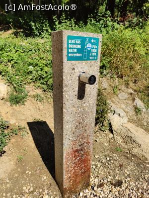 [P58] La plimbare în jurul lacului Bled » foto by crismis
 - 
<span class="allrVoted glyphicon glyphicon-heart hidden" id="av1513844"></span>
<a class="m-l-10 hidden" id="sv1513844" onclick="voting_Foto_DelVot(,1513844,11040)" role="button">șterge vot <span class="glyphicon glyphicon-remove"></span></a>
<a id="v91513844" class=" c-red"  onclick="voting_Foto_SetVot(1513844)" role="button"><span class="glyphicon glyphicon-heart-empty"></span> <b>LIKE</b> = Votează poza</a> <img class="hidden"  id="f1513844W9" src="/imagini/loader.gif" border="0" /><span class="AjErrMes hidden" id="e1513844ErM"></span>