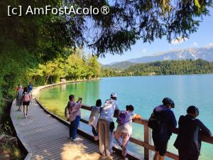 [P61] La plimbare în jurul lacului Bled » foto by crismis
 - 
<span class="allrVoted glyphicon glyphicon-heart hidden" id="av1513847"></span>
<a class="m-l-10 hidden" id="sv1513847" onclick="voting_Foto_DelVot(,1513847,11040)" role="button">șterge vot <span class="glyphicon glyphicon-remove"></span></a>
<a id="v91513847" class=" c-red"  onclick="voting_Foto_SetVot(1513847)" role="button"><span class="glyphicon glyphicon-heart-empty"></span> <b>LIKE</b> = Votează poza</a> <img class="hidden"  id="f1513847W9" src="/imagini/loader.gif" border="0" /><span class="AjErrMes hidden" id="e1513847ErM"></span>