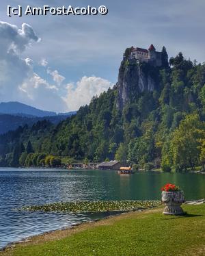 [P01] Lacul Bled » foto by RAlexandra
 - 
<span class="allrVoted glyphicon glyphicon-heart hidden" id="av980887"></span>
<a class="m-l-10 hidden" id="sv980887" onclick="voting_Foto_DelVot(,980887,11040)" role="button">șterge vot <span class="glyphicon glyphicon-remove"></span></a>
<a id="v9980887" class=" c-red"  onclick="voting_Foto_SetVot(980887)" role="button"><span class="glyphicon glyphicon-heart-empty"></span> <b>LIKE</b> = Votează poza</a> <img class="hidden"  id="f980887W9" src="/imagini/loader.gif" border="0" /><span class="AjErrMes hidden" id="e980887ErM"></span>