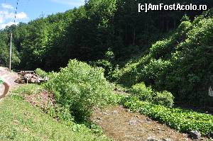 [P01] peisaj de pe drumul catre ghetar » foto by alunelu69
 - 
<span class="allrVoted glyphicon glyphicon-heart hidden" id="av674372"></span>
<a class="m-l-10 hidden" id="sv674372" onclick="voting_Foto_DelVot(,674372,11045)" role="button">șterge vot <span class="glyphicon glyphicon-remove"></span></a>
<a id="v9674372" class=" c-red"  onclick="voting_Foto_SetVot(674372)" role="button"><span class="glyphicon glyphicon-heart-empty"></span> <b>LIKE</b> = Votează poza</a> <img class="hidden"  id="f674372W9" src="/imagini/loader.gif" border="0" /><span class="AjErrMes hidden" id="e674372ErM"></span>