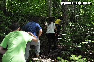 [P12] am pornit voiniceste pe poteca spre pestera » foto by alunelu69
 - 
<span class="allrVoted glyphicon glyphicon-heart hidden" id="av674396"></span>
<a class="m-l-10 hidden" id="sv674396" onclick="voting_Foto_DelVot(,674396,11045)" role="button">șterge vot <span class="glyphicon glyphicon-remove"></span></a>
<a id="v9674396" class=" c-red"  onclick="voting_Foto_SetVot(674396)" role="button"><span class="glyphicon glyphicon-heart-empty"></span> <b>LIKE</b> = Votează poza</a> <img class="hidden"  id="f674396W9" src="/imagini/loader.gif" border="0" /><span class="AjErrMes hidden" id="e674396ErM"></span>