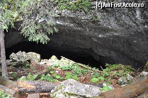 [P13] portalul prin care se face accesul in pestera » foto by alunelu69
 - 
<span class="allrVoted glyphicon glyphicon-heart hidden" id="av674399"></span>
<a class="m-l-10 hidden" id="sv674399" onclick="voting_Foto_DelVot(,674399,11045)" role="button">șterge vot <span class="glyphicon glyphicon-remove"></span></a>
<a id="v9674399" class=" c-red"  onclick="voting_Foto_SetVot(674399)" role="button"><span class="glyphicon glyphicon-heart-empty"></span> <b>LIKE</b> = Votează poza</a> <img class="hidden"  id="f674399W9" src="/imagini/loader.gif" border="0" /><span class="AjErrMes hidden" id="e674399ErM"></span>