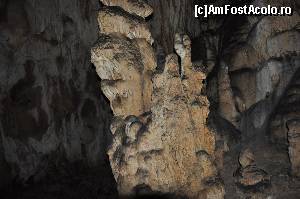 [P19]  -- <small>// FĂRĂ DESCRIERE</small> » foto by alunelu69
 - 
<span class="allrVoted glyphicon glyphicon-heart hidden" id="av674410"></span>
<a class="m-l-10 hidden" id="sv674410" onclick="voting_Foto_DelVot(,674410,11045)" role="button">șterge vot <span class="glyphicon glyphicon-remove"></span></a>
<a id="v9674410" class=" c-red"  onclick="voting_Foto_SetVot(674410)" role="button"><span class="glyphicon glyphicon-heart-empty"></span> <b>LIKE</b> = Votează poza</a> <img class="hidden"  id="f674410W9" src="/imagini/loader.gif" border="0" /><span class="AjErrMes hidden" id="e674410ErM"></span>