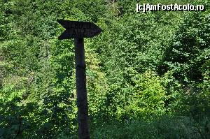 [P05] pe drum am gasit indicatorul catre izbucul tauz » foto by alunelu69
 - 
<span class="allrVoted glyphicon glyphicon-heart hidden" id="av674380"></span>
<a class="m-l-10 hidden" id="sv674380" onclick="voting_Foto_DelVot(,674380,11045)" role="button">șterge vot <span class="glyphicon glyphicon-remove"></span></a>
<a id="v9674380" class=" c-red"  onclick="voting_Foto_SetVot(674380)" role="button"><span class="glyphicon glyphicon-heart-empty"></span> <b>LIKE</b> = Votează poza</a> <img class="hidden"  id="f674380W9" src="/imagini/loader.gif" border="0" /><span class="AjErrMes hidden" id="e674380ErM"></span>