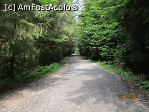 [P01] Pe drum ... » foto by puiutea
 - 
<span class="allrVoted glyphicon glyphicon-heart hidden" id="av1243699"></span>
<a class="m-l-10 hidden" id="sv1243699" onclick="voting_Foto_DelVot(,1243699,11045)" role="button">șterge vot <span class="glyphicon glyphicon-remove"></span></a>
<a id="v91243699" class=" c-red"  onclick="voting_Foto_SetVot(1243699)" role="button"><span class="glyphicon glyphicon-heart-empty"></span> <b>LIKE</b> = Votează poza</a> <img class="hidden"  id="f1243699W9" src="/imagini/loader.gif" border="0" /><span class="AjErrMes hidden" id="e1243699ErM"></span>