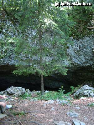 [P18] Intrarea în peșteră.  » foto by Utube
 - 
<span class="allrVoted glyphicon glyphicon-heart hidden" id="av408307"></span>
<a class="m-l-10 hidden" id="sv408307" onclick="voting_Foto_DelVot(,408307,11045)" role="button">șterge vot <span class="glyphicon glyphicon-remove"></span></a>
<a id="v9408307" class=" c-red"  onclick="voting_Foto_SetVot(408307)" role="button"><span class="glyphicon glyphicon-heart-empty"></span> <b>LIKE</b> = Votează poza</a> <img class="hidden"  id="f408307W9" src="/imagini/loader.gif" border="0" /><span class="AjErrMes hidden" id="e408307ErM"></span>