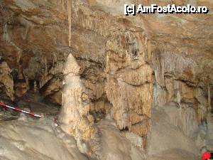 [P41]  -- <small>// FĂRĂ DESCRIERE</small> » foto by Utube
 - 
<span class="allrVoted glyphicon glyphicon-heart hidden" id="av408330"></span>
<a class="m-l-10 hidden" id="sv408330" onclick="voting_Foto_DelVot(,408330,11045)" role="button">șterge vot <span class="glyphicon glyphicon-remove"></span></a>
<a id="v9408330" class=" c-red"  onclick="voting_Foto_SetVot(408330)" role="button"><span class="glyphicon glyphicon-heart-empty"></span> <b>LIKE</b> = Votează poza</a> <img class="hidden"  id="f408330W9" src="/imagini/loader.gif" border="0" /><span class="AjErrMes hidden" id="e408330ErM"></span>