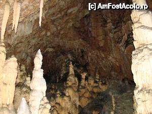 [P44]  -- <small>// FĂRĂ DESCRIERE</small> » foto by Utube
 - 
<span class="allrVoted glyphicon glyphicon-heart hidden" id="av408333"></span>
<a class="m-l-10 hidden" id="sv408333" onclick="voting_Foto_DelVot(,408333,11045)" role="button">șterge vot <span class="glyphicon glyphicon-remove"></span></a>
<a id="v9408333" class=" c-red"  onclick="voting_Foto_SetVot(408333)" role="button"><span class="glyphicon glyphicon-heart-empty"></span> <b>LIKE</b> = Votează poza</a> <img class="hidden"  id="f408333W9" src="/imagini/loader.gif" border="0" /><span class="AjErrMes hidden" id="e408333ErM"></span>