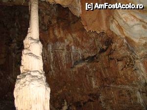 [P45]  -- <small>// FĂRĂ DESCRIERE</small> » foto by Utube
 - 
<span class="allrVoted glyphicon glyphicon-heart hidden" id="av408334"></span>
<a class="m-l-10 hidden" id="sv408334" onclick="voting_Foto_DelVot(,408334,11045)" role="button">șterge vot <span class="glyphicon glyphicon-remove"></span></a>
<a id="v9408334" class=" c-red"  onclick="voting_Foto_SetVot(408334)" role="button"><span class="glyphicon glyphicon-heart-empty"></span> <b>LIKE</b> = Votează poza</a> <img class="hidden"  id="f408334W9" src="/imagini/loader.gif" border="0" /><span class="AjErrMes hidden" id="e408334ErM"></span>