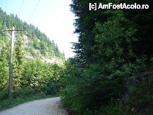 [P07] Apa curge undeva în stânga, cursul ei fiind mascat de vegetație.  » foto by Utube
 - 
<span class="allrVoted glyphicon glyphicon-heart hidden" id="av408296"></span>
<a class="m-l-10 hidden" id="sv408296" onclick="voting_Foto_DelVot(,408296,11045)" role="button">șterge vot <span class="glyphicon glyphicon-remove"></span></a>
<a id="v9408296" class=" c-red"  onclick="voting_Foto_SetVot(408296)" role="button"><span class="glyphicon glyphicon-heart-empty"></span> <b>LIKE</b> = Votează poza</a> <img class="hidden"  id="f408296W9" src="/imagini/loader.gif" border="0" /><span class="AjErrMes hidden" id="e408296ErM"></span>