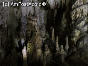 [P06]  -- <small>// FĂRĂ DESCRIERE</small> » foto by simplegirl
 - 
<span class="allrVoted glyphicon glyphicon-heart hidden" id="av892441"></span>
<a class="m-l-10 hidden" id="sv892441" onclick="voting_Foto_DelVot(,892441,11045)" role="button">șterge vot <span class="glyphicon glyphicon-remove"></span></a>
<a id="v9892441" class=" c-red"  onclick="voting_Foto_SetVot(892441)" role="button"><span class="glyphicon glyphicon-heart-empty"></span> <b>LIKE</b> = Votează poza</a> <img class="hidden"  id="f892441W9" src="/imagini/loader.gif" border="0" /><span class="AjErrMes hidden" id="e892441ErM"></span>