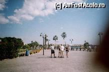 [P11] Esplanada Pafos » foto by Swan1
 - 
<span class="allrVoted glyphicon glyphicon-heart hidden" id="av296077"></span>
<a class="m-l-10 hidden" id="sv296077" onclick="voting_Foto_DelVot(,296077,11054)" role="button">șterge vot <span class="glyphicon glyphicon-remove"></span></a>
<a id="v9296077" class=" c-red"  onclick="voting_Foto_SetVot(296077)" role="button"><span class="glyphicon glyphicon-heart-empty"></span> <b>LIKE</b> = Votează poza</a> <img class="hidden"  id="f296077W9" src="/imagini/loader.gif" border="0" /><span class="AjErrMes hidden" id="e296077ErM"></span>