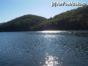 [P15] Lacul Gozna în zona Ponton Hidroconstrucția » foto by Alina Roxana
 - 
<span class="allrVoted glyphicon glyphicon-heart hidden" id="av442346"></span>
<a class="m-l-10 hidden" id="sv442346" onclick="voting_Foto_DelVot(,442346,11088)" role="button">șterge vot <span class="glyphicon glyphicon-remove"></span></a>
<a id="v9442346" class=" c-red"  onclick="voting_Foto_SetVot(442346)" role="button"><span class="glyphicon glyphicon-heart-empty"></span> <b>LIKE</b> = Votează poza</a> <img class="hidden"  id="f442346W9" src="/imagini/loader.gif" border="0" /><span class="AjErrMes hidden" id="e442346ErM"></span>