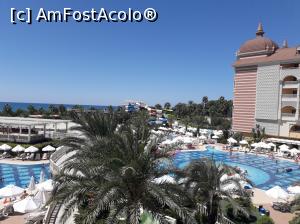 [P02]  -- <small>// FĂRĂ DESCRIERE</small> » foto by Mihaela Popa
 - 
<span class="allrVoted glyphicon glyphicon-heart hidden" id="av999776"></span>
<a class="m-l-10 hidden" id="sv999776" onclick="voting_Foto_DelVot(,999776,11127)" role="button">șterge vot <span class="glyphicon glyphicon-remove"></span></a>
<a id="v9999776" class=" c-red"  onclick="voting_Foto_SetVot(999776)" role="button"><span class="glyphicon glyphicon-heart-empty"></span> <b>LIKE</b> = Votează poza</a> <img class="hidden"  id="f999776W9" src="/imagini/loader.gif" border="0" /><span class="AjErrMes hidden" id="e999776ErM"></span>