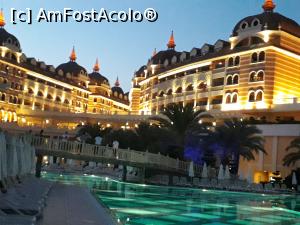 [P03]  -- <small>// FĂRĂ DESCRIERE</small> » foto by Mihaela Popa
 - 
<span class="allrVoted glyphicon glyphicon-heart hidden" id="av999777"></span>
<a class="m-l-10 hidden" id="sv999777" onclick="voting_Foto_DelVot(,999777,11127)" role="button">șterge vot <span class="glyphicon glyphicon-remove"></span></a>
<a id="v9999777" class=" c-red"  onclick="voting_Foto_SetVot(999777)" role="button"><span class="glyphicon glyphicon-heart-empty"></span> <b>LIKE</b> = Votează poza</a> <img class="hidden"  id="f999777W9" src="/imagini/loader.gif" border="0" /><span class="AjErrMes hidden" id="e999777ErM"></span>