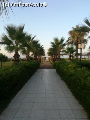 [P03]  -- <small>// FĂRĂ DESCRIERE</small> » foto by ramonaa
 - 
<span class="allrVoted glyphicon glyphicon-heart hidden" id="av990938"></span>
<a class="m-l-10 hidden" id="sv990938" onclick="voting_Foto_DelVot(,990938,11127)" role="button">șterge vot <span class="glyphicon glyphicon-remove"></span></a>
<a id="v9990938" class=" c-red"  onclick="voting_Foto_SetVot(990938)" role="button"><span class="glyphicon glyphicon-heart-empty"></span> <b>LIKE</b> = Votează poza</a> <img class="hidden"  id="f990938W9" src="/imagini/loader.gif" border="0" /><span class="AjErrMes hidden" id="e990938ErM"></span>