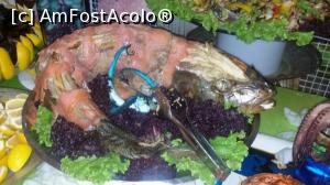 [P39]  -- <small>// FĂRĂ DESCRIERE</small> » foto by moraru marian
 - 
<span class="allrVoted glyphicon glyphicon-heart hidden" id="av984688"></span>
<a class="m-l-10 hidden" id="sv984688" onclick="voting_Foto_DelVot(,984688,11127)" role="button">șterge vot <span class="glyphicon glyphicon-remove"></span></a>
<a id="v9984688" class=" c-red"  onclick="voting_Foto_SetVot(984688)" role="button"><span class="glyphicon glyphicon-heart-empty"></span> <b>LIKE</b> = Votează poza</a> <img class="hidden"  id="f984688W9" src="/imagini/loader.gif" border="0" /><span class="AjErrMes hidden" id="e984688ErM"></span>