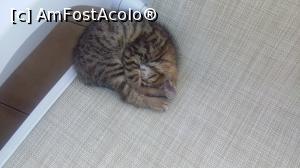 [P42]  -- <small>// FĂRĂ DESCRIERE</small> » foto by moraru marian
 - 
<span class="allrVoted glyphicon glyphicon-heart hidden" id="av984691"></span>
<a class="m-l-10 hidden" id="sv984691" onclick="voting_Foto_DelVot(,984691,11127)" role="button">șterge vot <span class="glyphicon glyphicon-remove"></span></a>
<a id="v9984691" class=" c-red"  onclick="voting_Foto_SetVot(984691)" role="button"><span class="glyphicon glyphicon-heart-empty"></span> <b>LIKE</b> = Votează poza</a> <img class="hidden"  id="f984691W9" src="/imagini/loader.gif" border="0" /><span class="AjErrMes hidden" id="e984691ErM"></span>