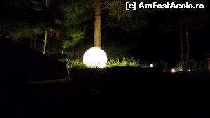 [P15] noaptea in curte » foto by axel114
 - 
<span class="allrVoted glyphicon glyphicon-heart hidden" id="av560561"></span>
<a class="m-l-10 hidden" id="sv560561" onclick="voting_Foto_DelVot(,560561,11139)" role="button">șterge vot <span class="glyphicon glyphicon-remove"></span></a>
<a id="v9560561" class=" c-red"  onclick="voting_Foto_SetVot(560561)" role="button"><span class="glyphicon glyphicon-heart-empty"></span> <b>LIKE</b> = Votează poza</a> <img class="hidden"  id="f560561W9" src="/imagini/loader.gif" border="0" /><span class="AjErrMes hidden" id="e560561ErM"></span>