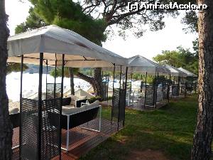 [P09]  -- <small>// FĂRĂ DESCRIERE</small> » foto by axel114
 - 
<span class="allrVoted glyphicon glyphicon-heart hidden" id="av560555"></span>
<a class="m-l-10 hidden" id="sv560555" onclick="voting_Foto_DelVot(,560555,11139)" role="button">șterge vot <span class="glyphicon glyphicon-remove"></span></a>
<a id="v9560555" class=" c-red"  onclick="voting_Foto_SetVot(560555)" role="button"><span class="glyphicon glyphicon-heart-empty"></span> <b>LIKE</b> = Votează poza</a> <img class="hidden"  id="f560555W9" src="/imagini/loader.gif" border="0" /><span class="AjErrMes hidden" id="e560555ErM"></span>