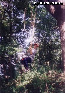 [P18] zmeul tinar in stejarul cu pricina... » foto by adri-nico
 - 
<span class="allrVoted glyphicon glyphicon-heart hidden" id="av300262"></span>
<a class="m-l-10 hidden" id="sv300262" onclick="voting_Foto_DelVot(,300262,11147)" role="button">șterge vot <span class="glyphicon glyphicon-remove"></span></a>
<a id="v9300262" class=" c-red"  onclick="voting_Foto_SetVot(300262)" role="button"><span class="glyphicon glyphicon-heart-empty"></span> <b>LIKE</b> = Votează poza</a> <img class="hidden"  id="f300262W9" src="/imagini/loader.gif" border="0" /><span class="AjErrMes hidden" id="e300262ErM"></span>