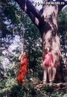 [P19] si Zmeoaica ...speriind copiii ,tot in stejarul secular » foto by adri-nico
 - 
<span class="allrVoted glyphicon glyphicon-heart hidden" id="av300263"></span>
<a class="m-l-10 hidden" id="sv300263" onclick="voting_Foto_DelVot(,300263,11147)" role="button">șterge vot <span class="glyphicon glyphicon-remove"></span></a>
<a id="v9300263" class=" c-red"  onclick="voting_Foto_SetVot(300263)" role="button"><span class="glyphicon glyphicon-heart-empty"></span> <b>LIKE</b> = Votează poza</a> <img class="hidden"  id="f300263W9" src="/imagini/loader.gif" border="0" /><span class="AjErrMes hidden" id="e300263ErM"></span>