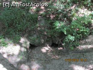 [P18] grota astupata de la Curtile Zmeilor » foto by adri-nico
 - 
<span class="allrVoted glyphicon glyphicon-heart hidden" id="av764202"></span>
<a class="m-l-10 hidden" id="sv764202" onclick="voting_Foto_DelVot(,764202,11147)" role="button">șterge vot <span class="glyphicon glyphicon-remove"></span></a>
<a id="v9764202" class=" c-red"  onclick="voting_Foto_SetVot(764202)" role="button"><span class="glyphicon glyphicon-heart-empty"></span> <b>LIKE</b> = Votează poza</a> <img class="hidden"  id="f764202W9" src="/imagini/loader.gif" border="0" /><span class="AjErrMes hidden" id="e764202ErM"></span>