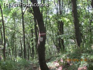 [P21] marcaj in zona » foto by adri-nico
 - 
<span class="allrVoted glyphicon glyphicon-heart hidden" id="av764207"></span>
<a class="m-l-10 hidden" id="sv764207" onclick="voting_Foto_DelVot(,764207,11147)" role="button">șterge vot <span class="glyphicon glyphicon-remove"></span></a>
<a id="v9764207" class=" c-red"  onclick="voting_Foto_SetVot(764207)" role="button"><span class="glyphicon glyphicon-heart-empty"></span> <b>LIKE</b> = Votează poza</a> <img class="hidden"  id="f764207W9" src="/imagini/loader.gif" border="0" /><span class="AjErrMes hidden" id="e764207ErM"></span>