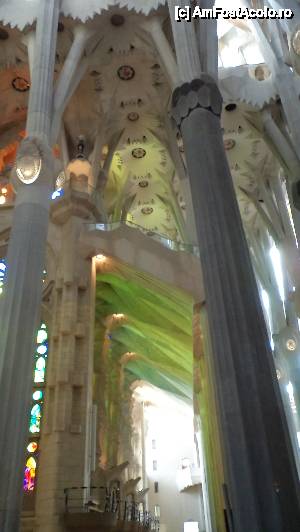 [P31] Sagrada Familia.  » foto by mihaela_b
 - 
<span class="allrVoted glyphicon glyphicon-heart hidden" id="av467349"></span>
<a class="m-l-10 hidden" id="sv467349" onclick="voting_Foto_DelVot(,467349,11160)" role="button">șterge vot <span class="glyphicon glyphicon-remove"></span></a>
<a id="v9467349" class=" c-red"  onclick="voting_Foto_SetVot(467349)" role="button"><span class="glyphicon glyphicon-heart-empty"></span> <b>LIKE</b> = Votează poza</a> <img class="hidden"  id="f467349W9" src="/imagini/loader.gif" border="0" /><span class="AjErrMes hidden" id="e467349ErM"></span>